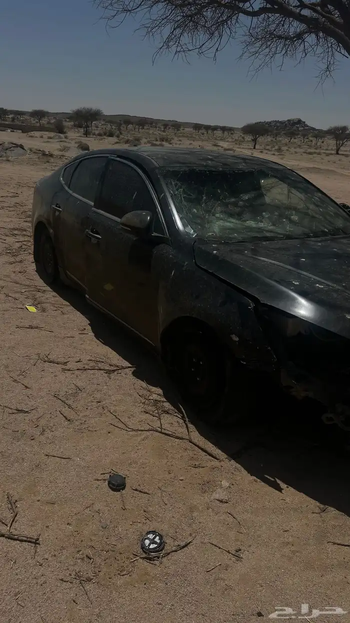 كادينزا تشليح 5