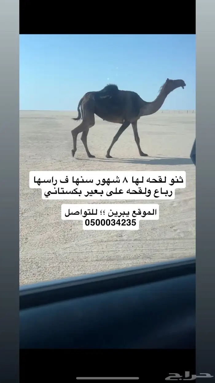 للتواصل 0