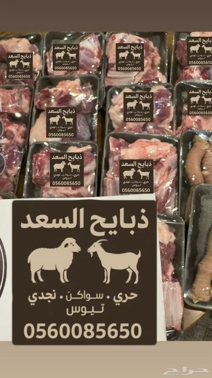 جميع أنواع الذبائح - ذبيحه - طلي - تيس- ثلاجه 0