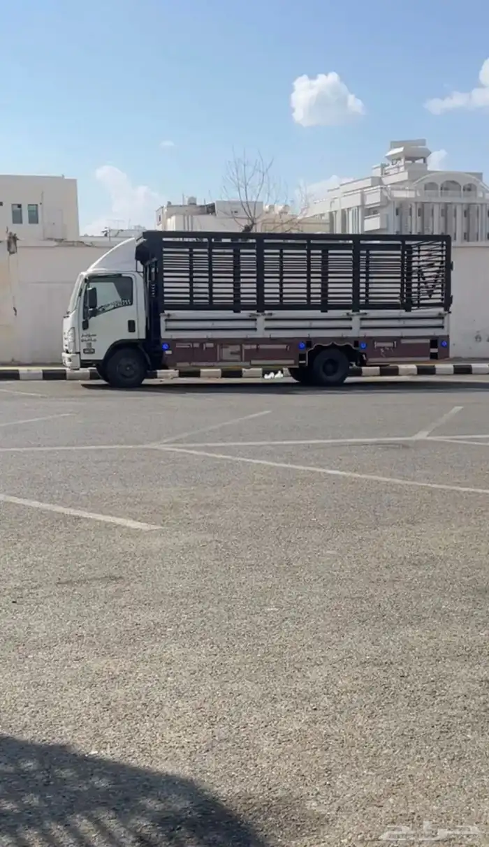 دينا لنقل لجميع مناطق المملكة 0