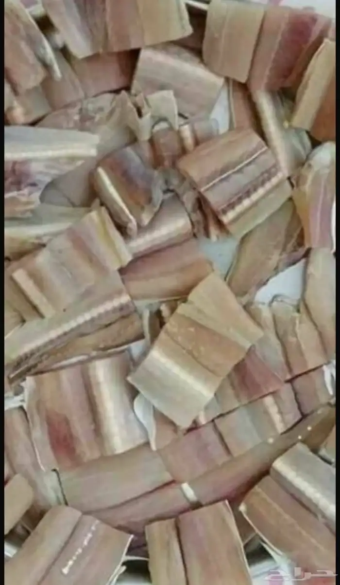 لخم قرينى 1