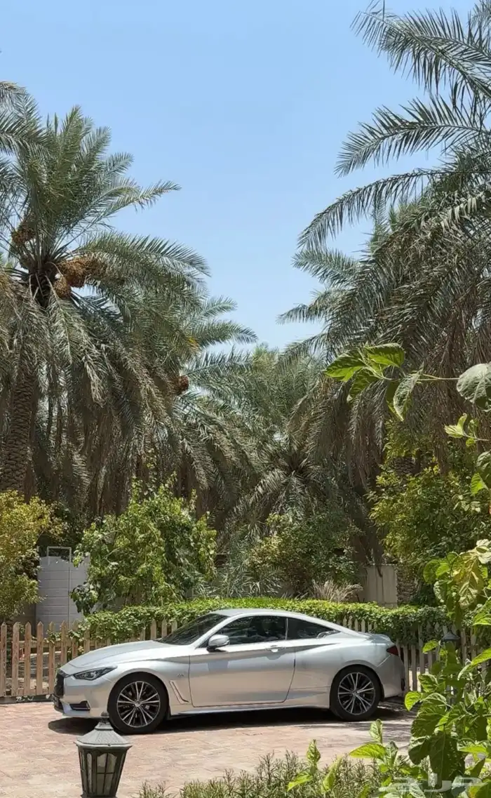 انفنتي 2019 ممشى قليل 7