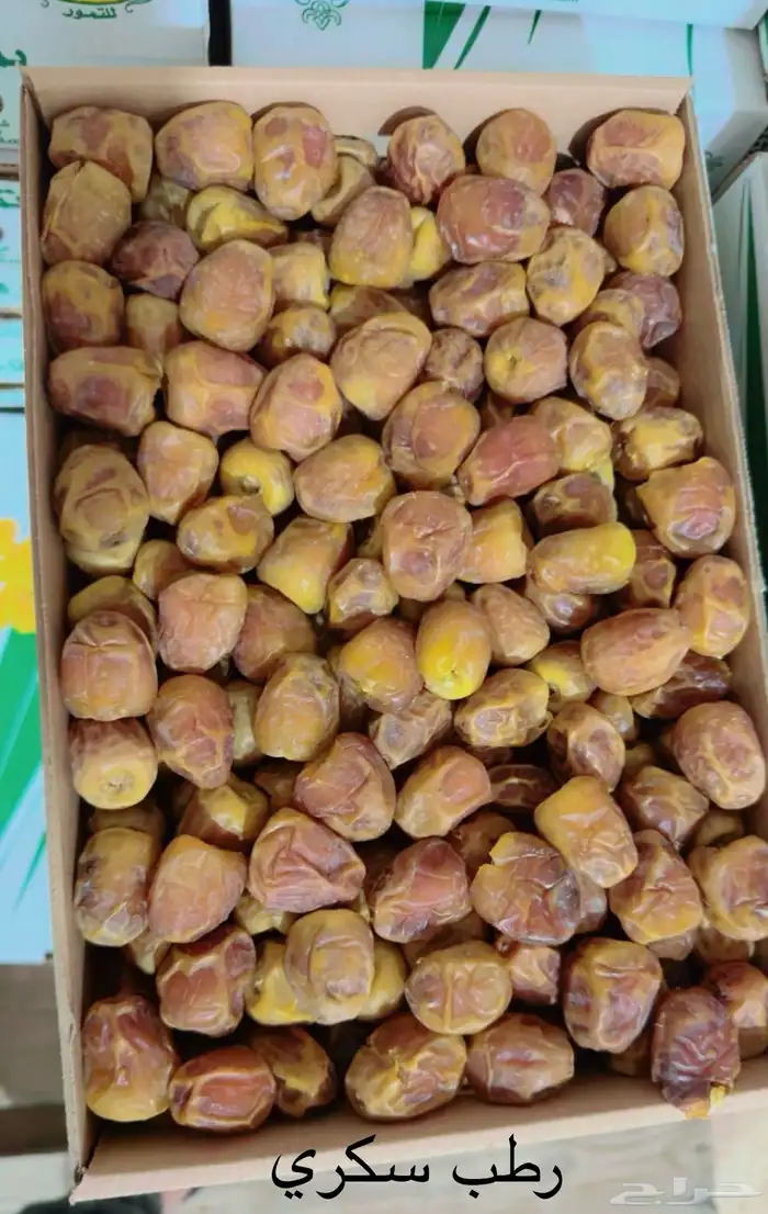 تمر سكري فاخر ملكي 3