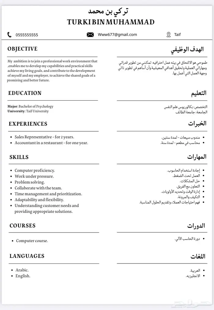 تصميم سيرة ذاتية احترافية CV 3