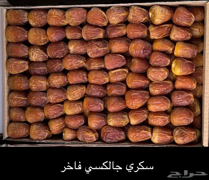 تمر سكري فاخر ملكي 2