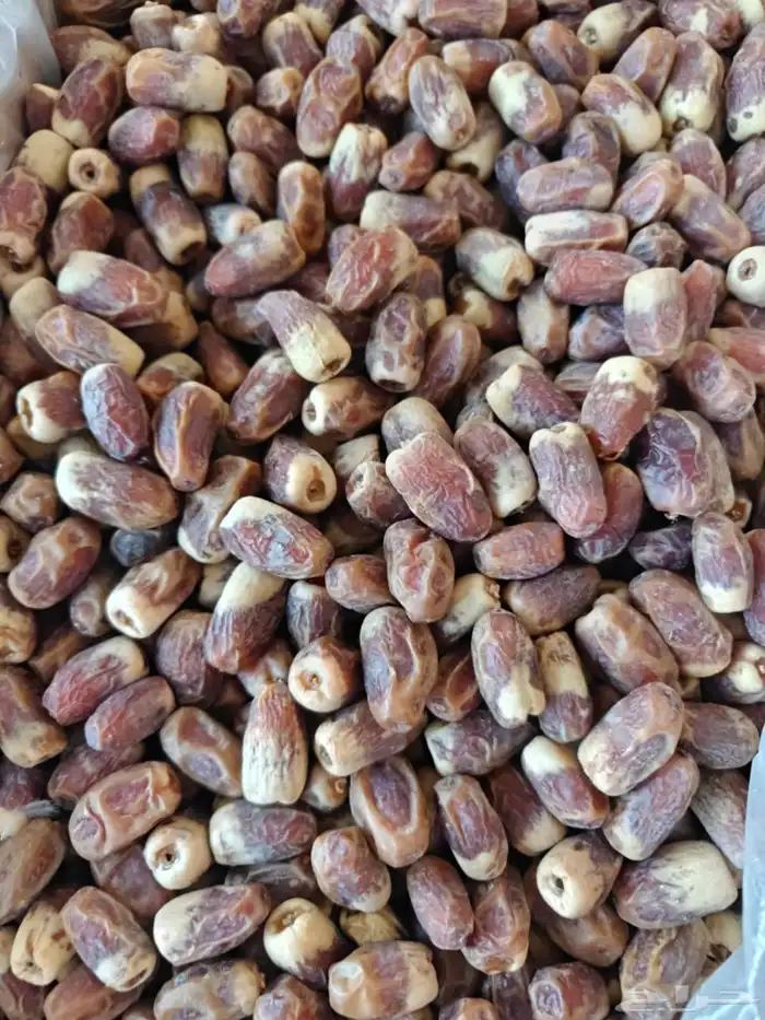 20 كرتون صقعي أحمر طيب على السوم 8