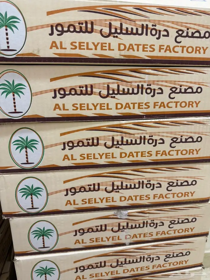 تمر صفري اشعل 1
