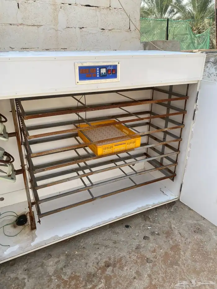 فقاسه وطني مقاس1850 بيضه 2