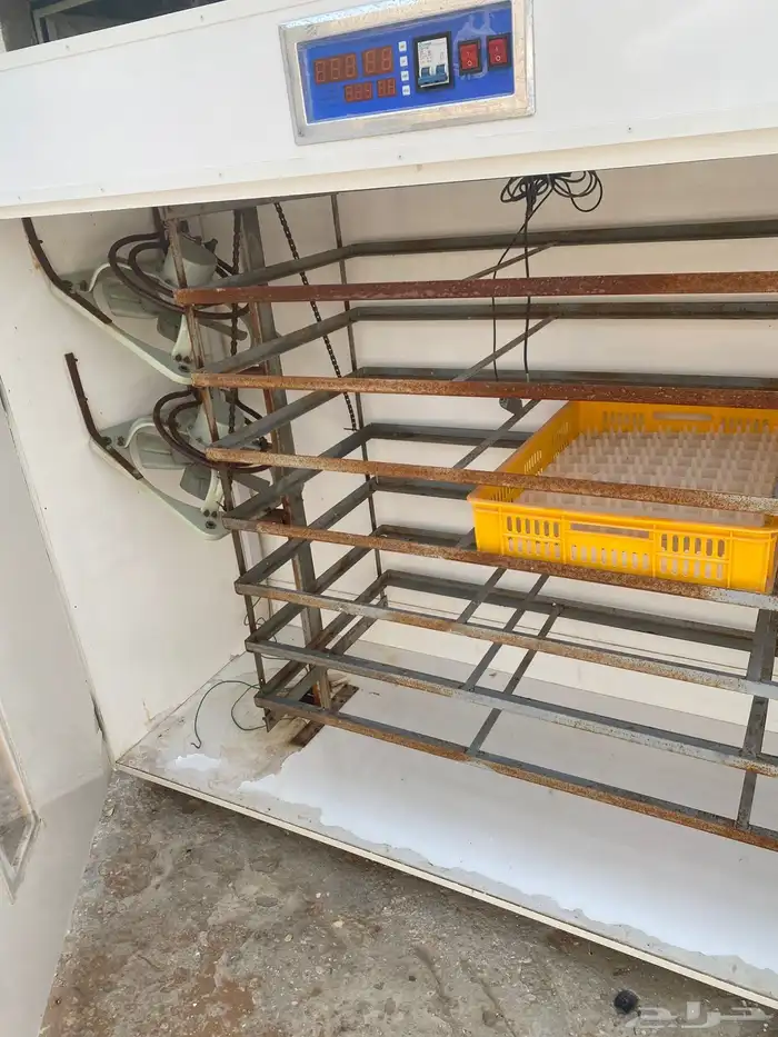 فقاسه وطني مقاس1850 بيضه 3