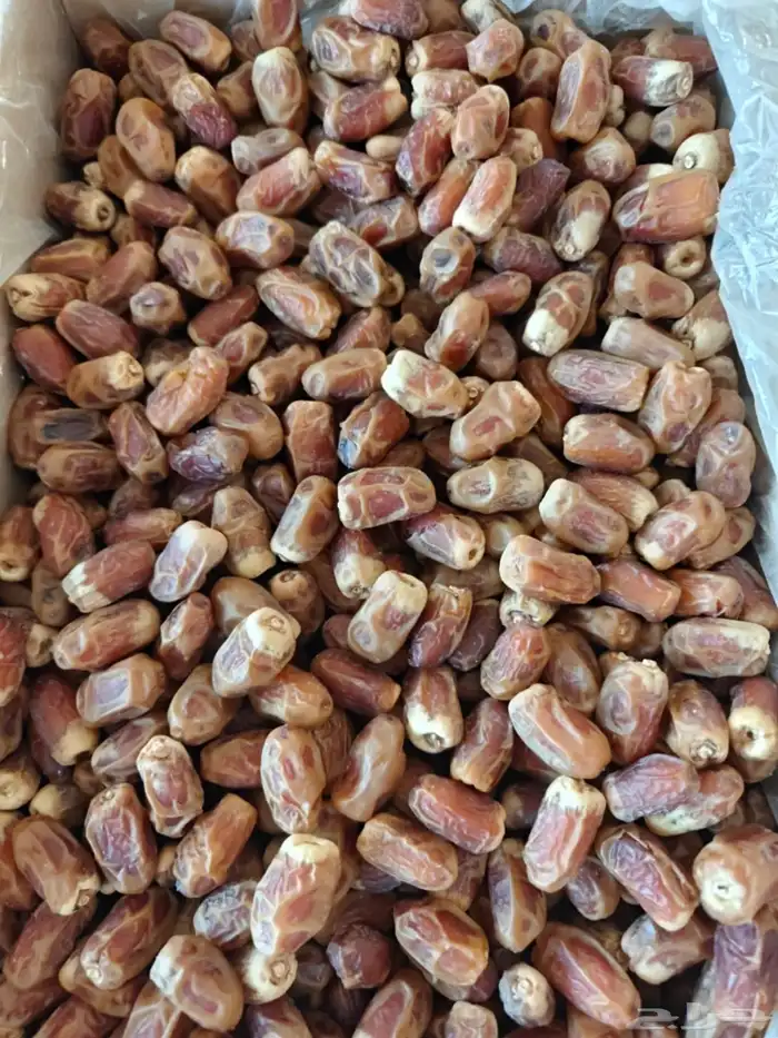 20 كرتون صقعي أحمر طيب على السوم 7