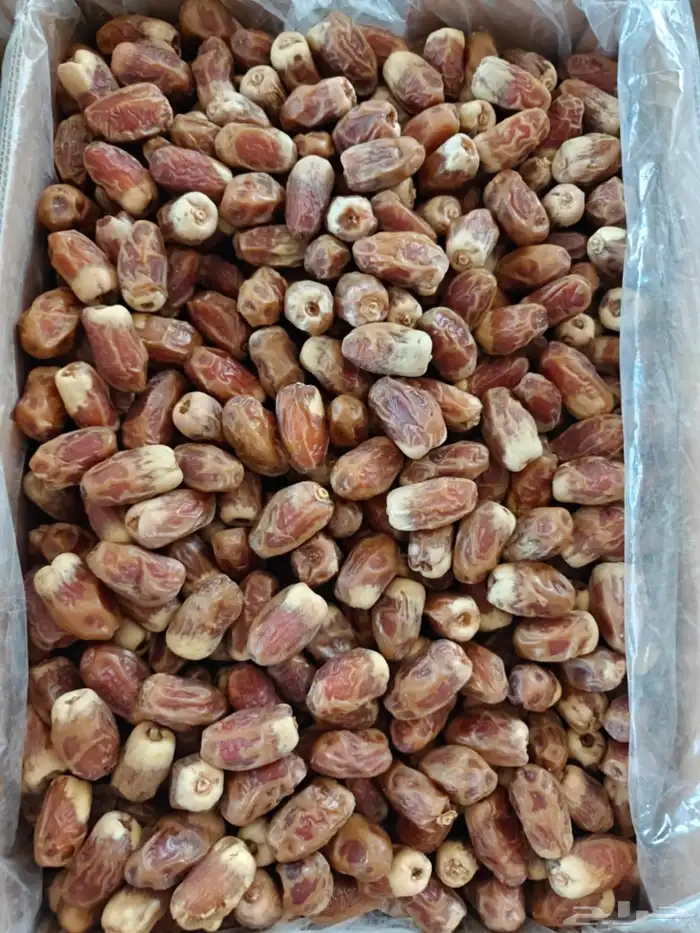 20 كرتون صقعي أحمر طيب على السوم 0