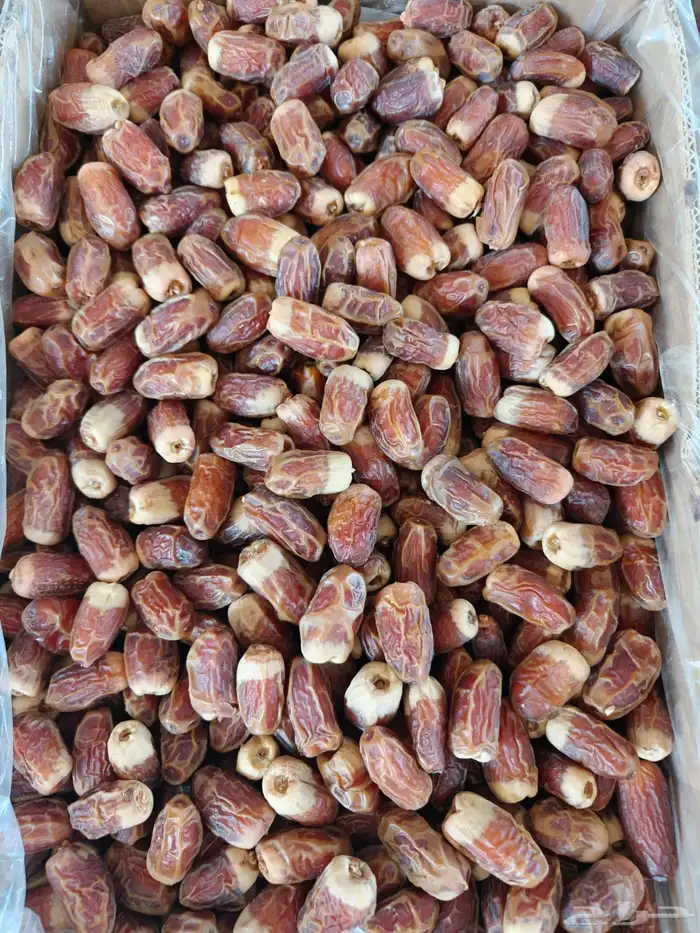 20 كرتون صقعي أحمر طيب على السوم 14