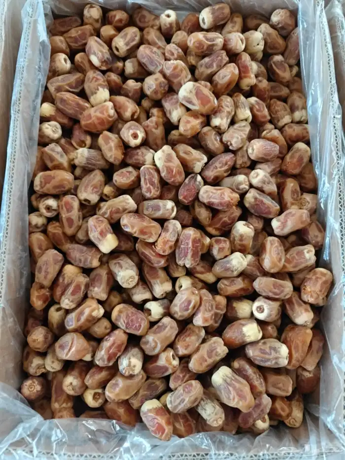 20 كرتون صقعي أحمر طيب على السوم 3