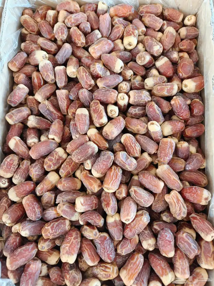 20 كرتون صقعي أحمر طيب على السوم 12