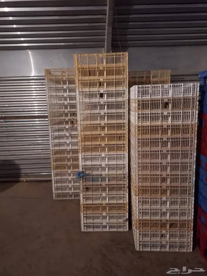 صناديق بيض سكراب 0