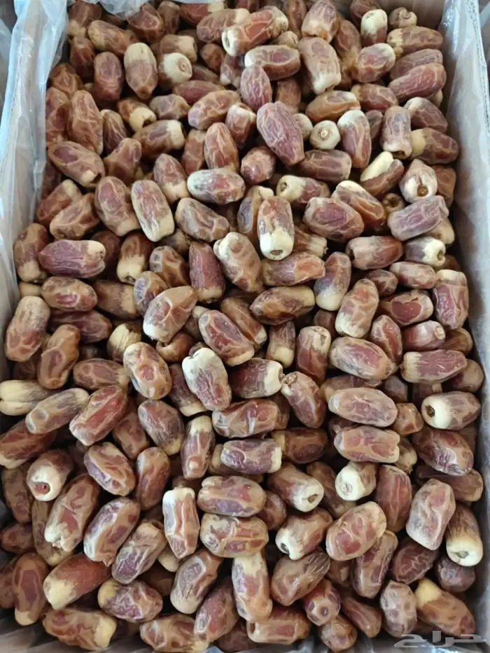 20 كرتون صقعي أحمر طيب على السوم 4