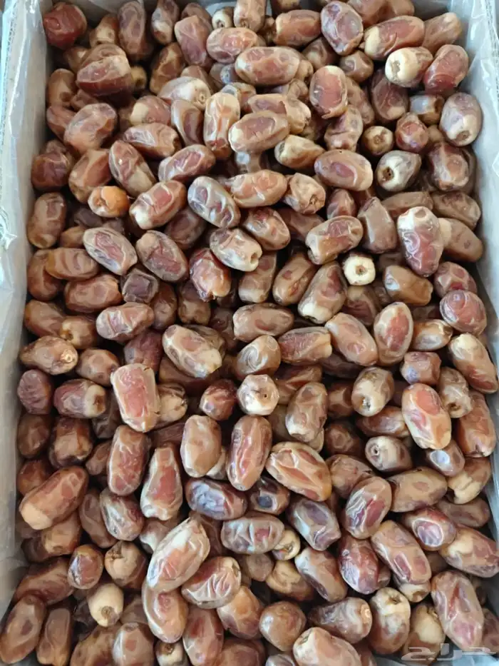 20 كرتون صقعي أحمر طيب على السوم 5