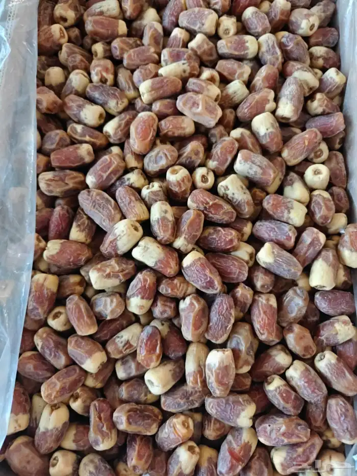 20 كرتون صقعي أحمر طيب على السوم 6