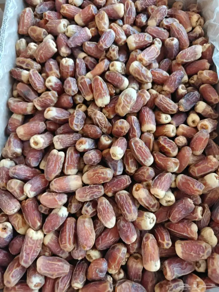 20 كرتون صقعي أحمر طيب على السوم 9