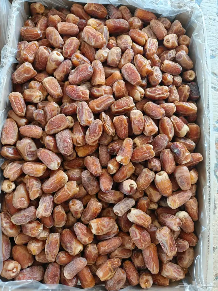 20 كرتون صقعي أحمر طيب على السوم 2