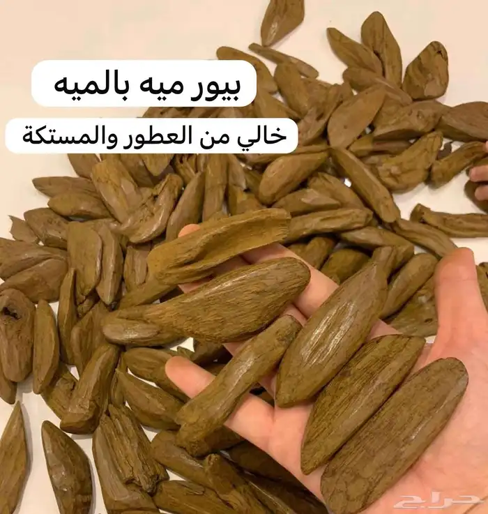 عود طبيعي محسن صيده 0