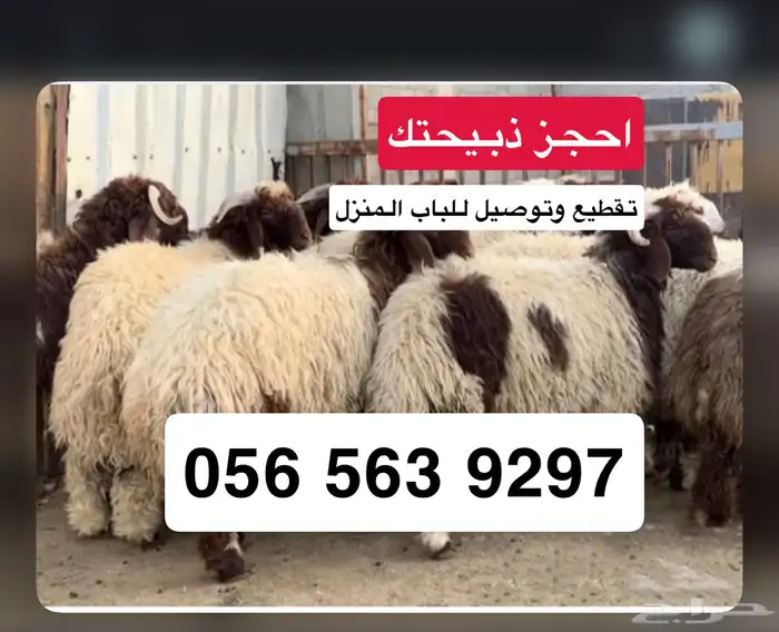 توصيل ذبايح لباب المنزل مطبوخ او مقطع ثلاجة 1