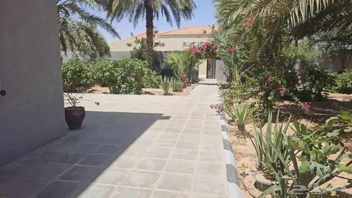للإيجار اليومي مزرعة و اسطبل الصالحية بمليدا 5