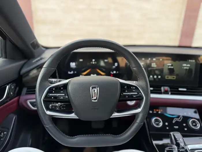 فاو بسترن B70 موديل 2023 (( تم البيع )) 23