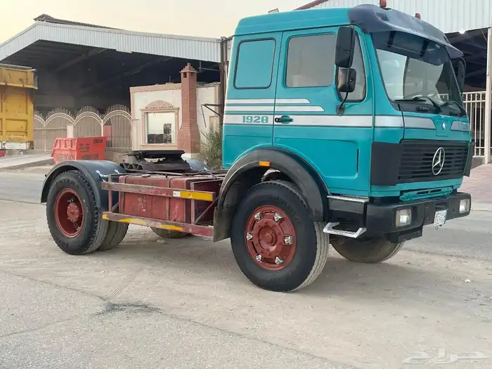 راس البي 81 1