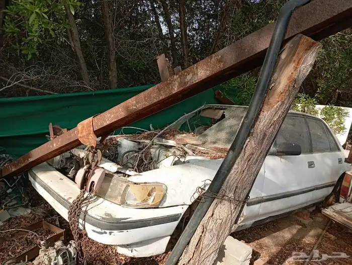 كرسيدا للبيع البودي كامل من غير المكينه 5