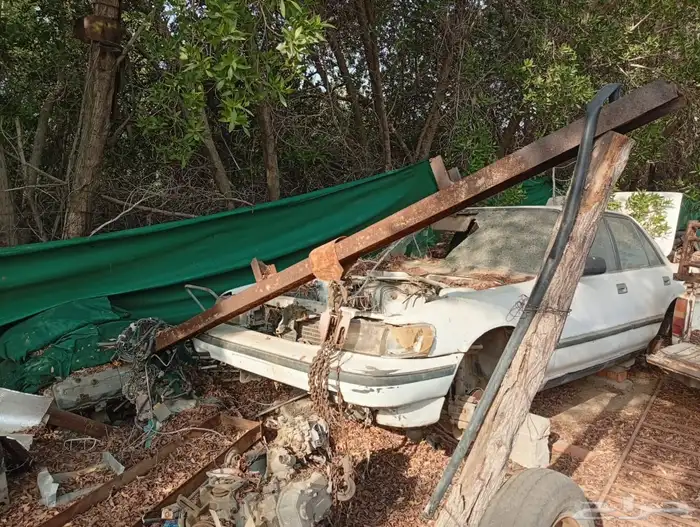 كرسيدا للبيع البودي كامل من غير المكينه 4