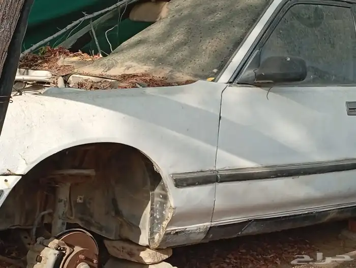 كرسيدا للبيع البودي كامل من غير المكينه 0