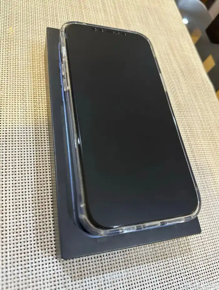 iPhone 12 Pro Max 1