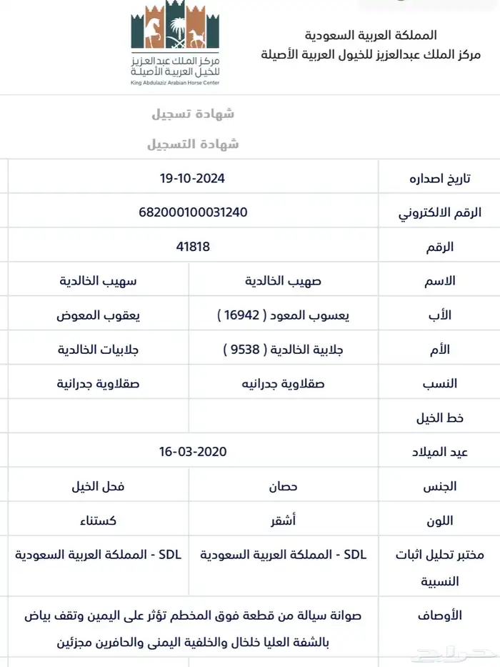 حصان واهو فاخر ويحمل دماء ابطل 4
