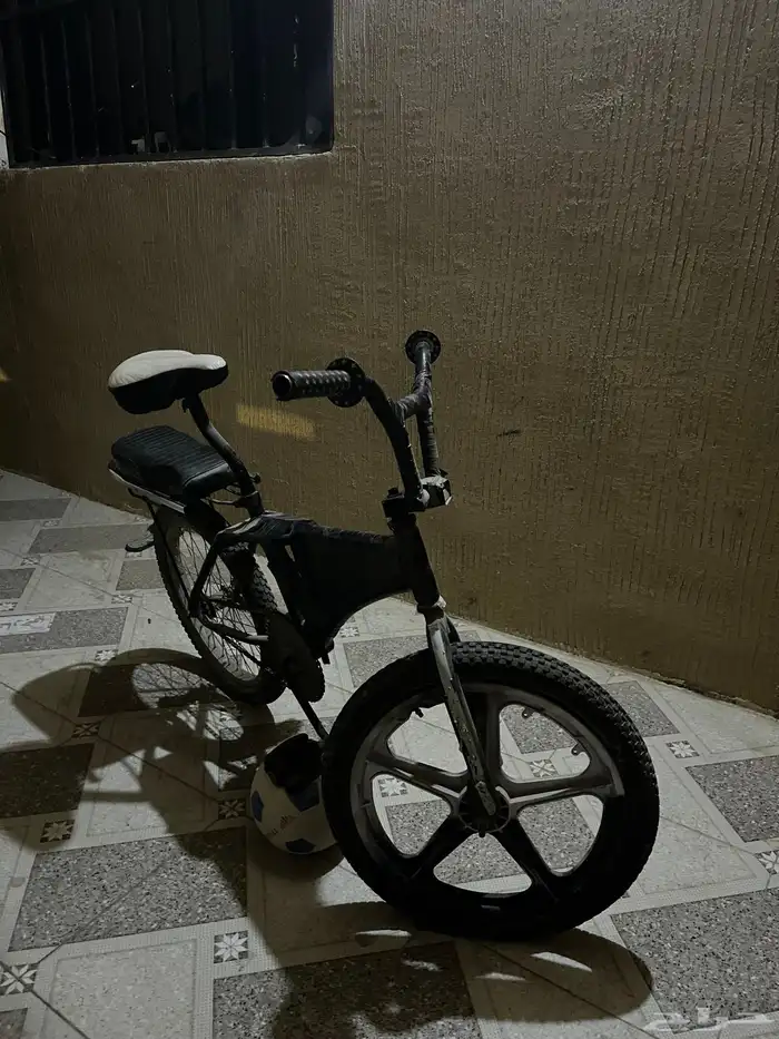 سيكل الدركسون كوبرا و الجسم رامبوا 2