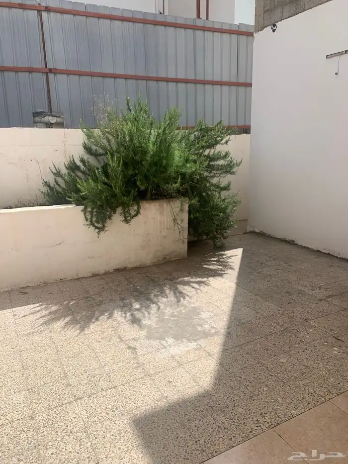 دور أرضي للإيجار الشهري 14