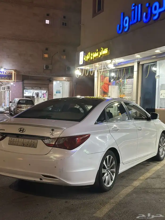 سنوناتا 2013 8