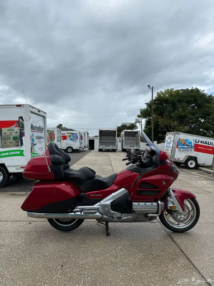 قولد وينق 2016 1