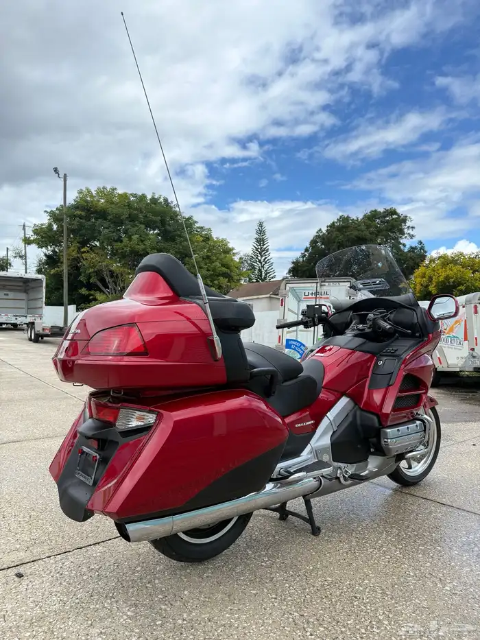 قولد وينق 2016 5