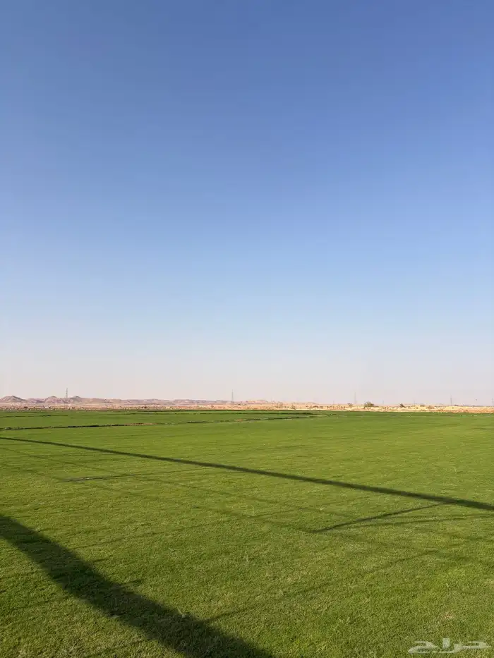 ثيل طبيعي c2000 0