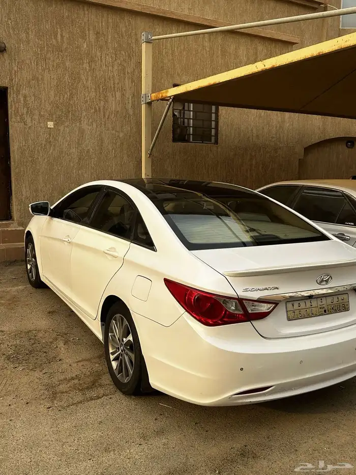 سنوناتا 2013 2