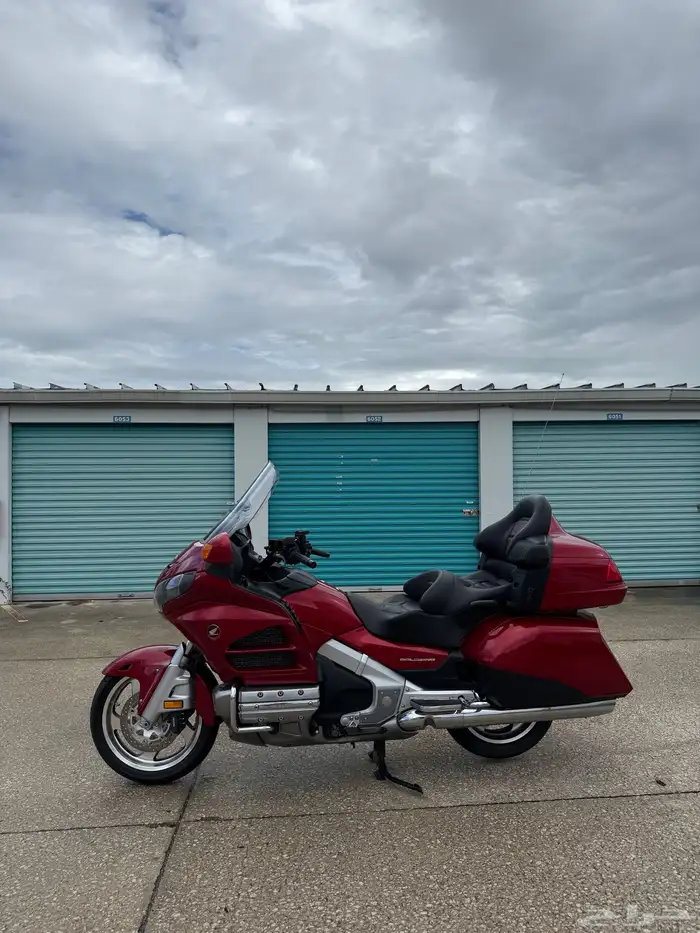 قولد وينق 2016 0