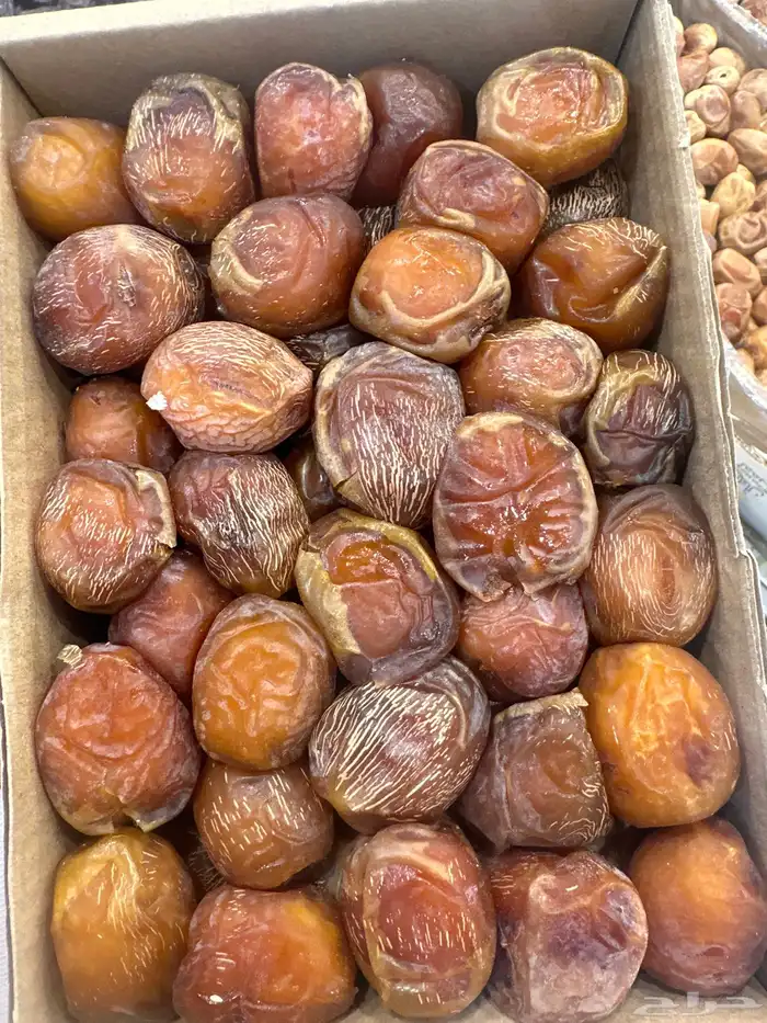 تمر نبته سلطانة 1