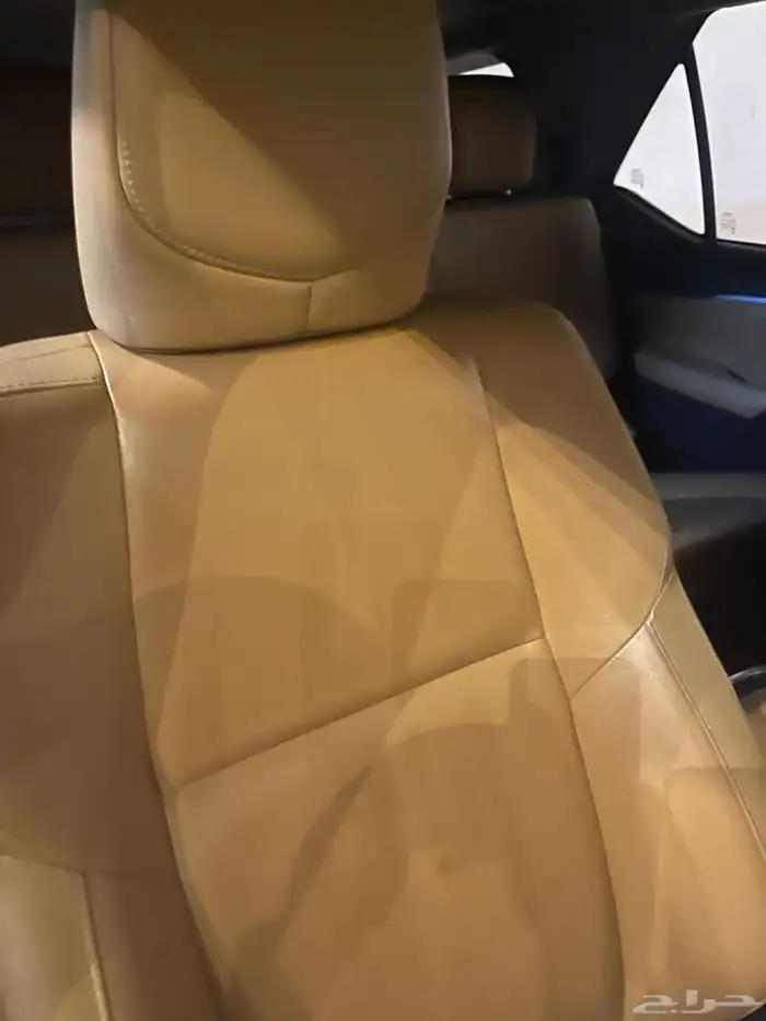 الرياض 5