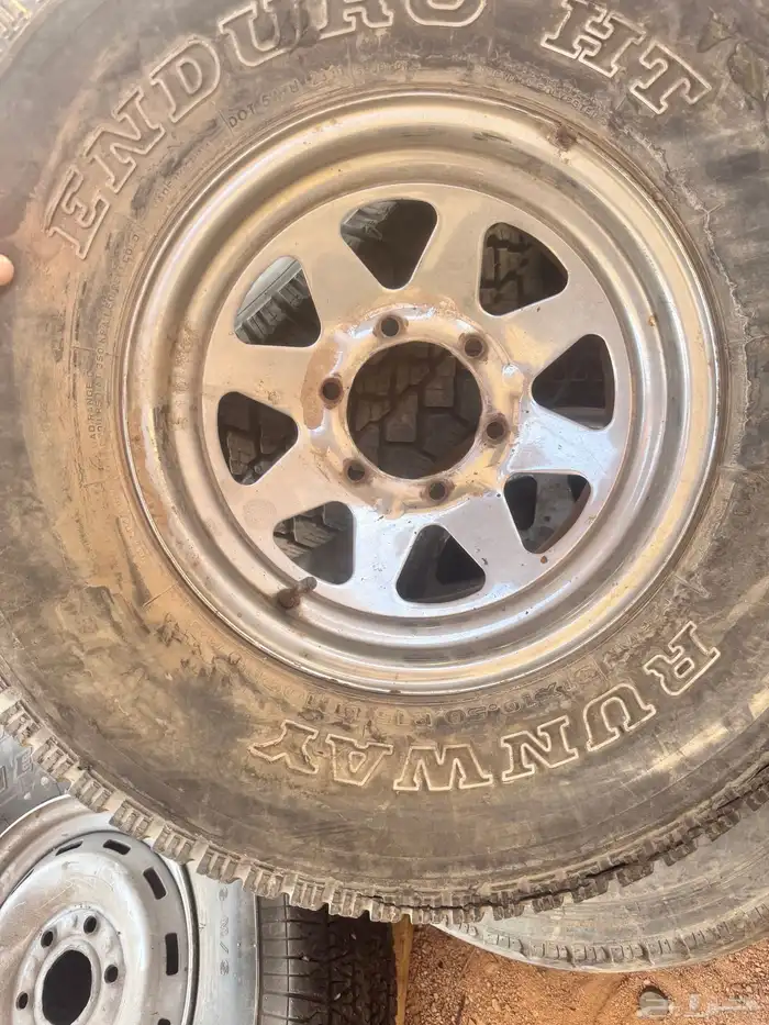 جنوط سفاري 0