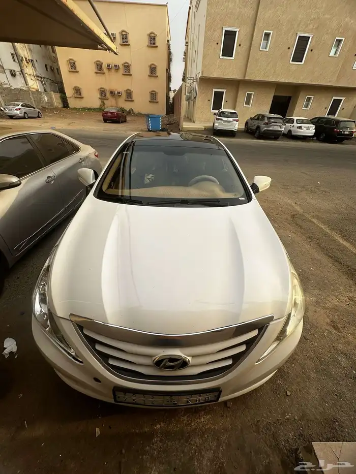 سنوناتا 2013 0