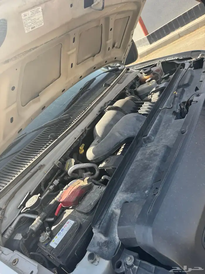 فور فان 2013 5