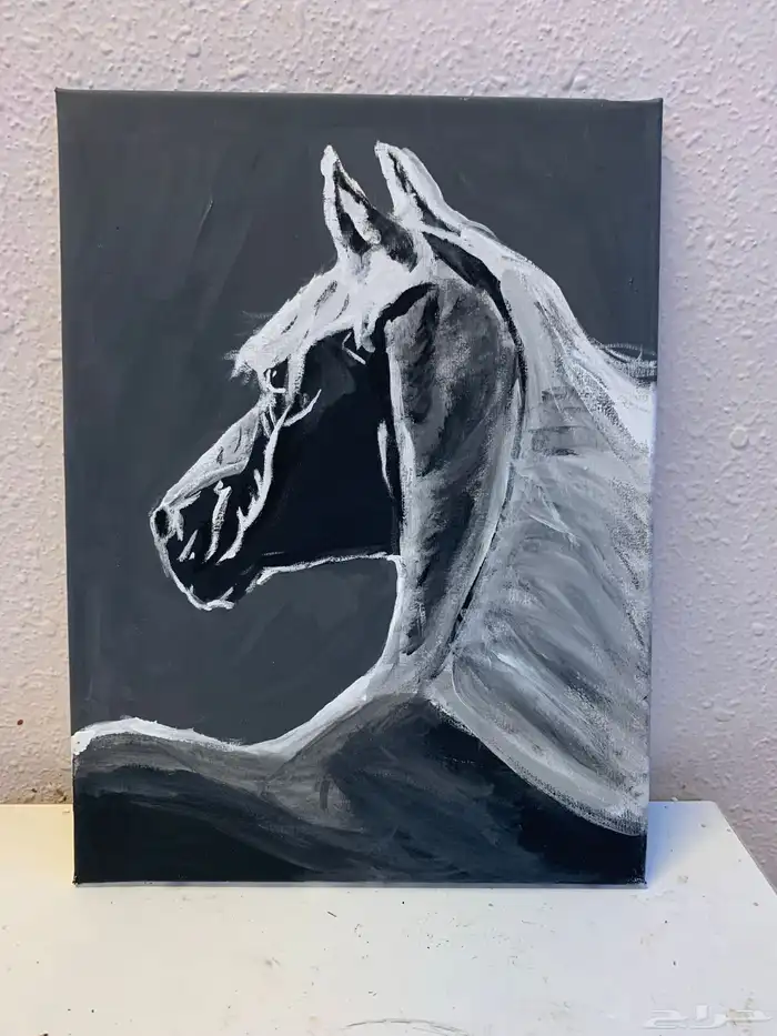 رسمات 0