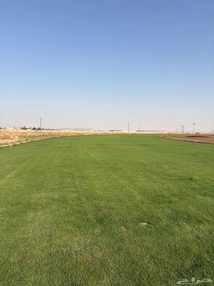 ثيل طبيعي c2000 1