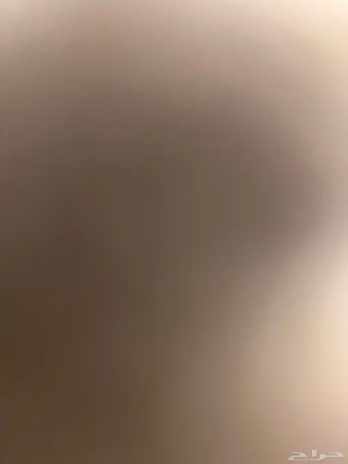 خشب 1